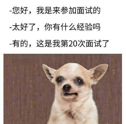 面试技巧