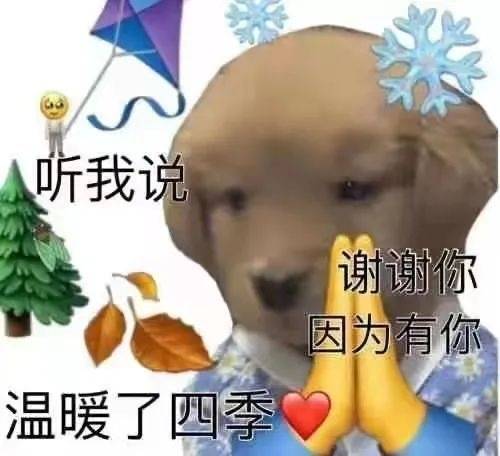 听我说谢谢你